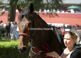 1414d.jpg (Miss Kelly)