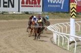 8073d.jpg (Derby Consolation)