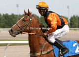 8299d.jpg (Marcelis)