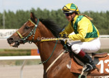 8337d.jpg (Flying Edge)
