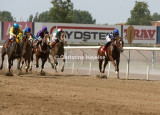 8343d.jpg (Champagnegalopp)