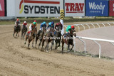 8434d.jpg (Jägersro Cup)