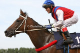 8625d.jpg (Western Prospect)