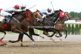 8719d.jpg (Sweet Fox Fever & Tertio Bloom & Miyasaki & Exhibition)
