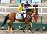 8843d.jpg (Lady Star Line)