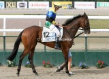 8865d.jpg (Castle Sting)