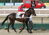 8894d.jpg (Touch Of Hawk)