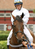 9863d.jpg (Rival)