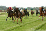0072e.jpg (The Darley Arabian løb)