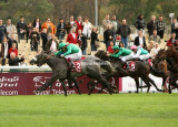 4461e.jpg (Rosanara / C Soumillon)