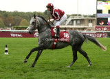5003e.jpg (General / A Bouleau) (1st in Arabian World Cup)