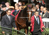 4268e.jpg (Le Bacardy)