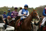 4377e.jpg (Atlantic Wave / MA Kappushev)