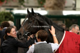 4408e.jpg (Total Gallery / JP Murtagh)