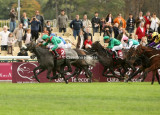 4463e.jpg (Rosanara / C Soumillon)