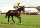 4479e.jpg (Green Dandy / KF Fallon)