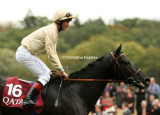 4790e.jpg (Cavalryman / L Dettori)