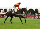 4803e.jpg (Stacelita / C Soumillon)