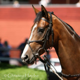 0844g.jpg (Madame Esprit)