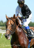 1662g.jpg (His Highness)