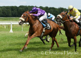Horse Racing 2010