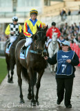0283h.jpg (Moatize / Chris Symons)