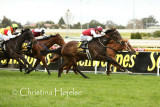 1119h.jpg (1000 Guineas prelude)