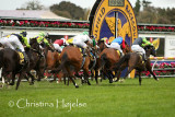1129h.jpg (1000 Guineas prelude)
