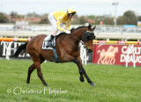 2203h.jpg (Fairfield Flame / Glen Boss)