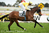 2214h.jpg (Fairfield Flame / Glen Boss)
