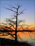 Winter Sunset at Steilacoom