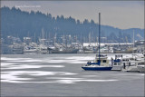 Frozen Gig Harbor