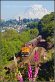 Mt Rainier above Ruston Way