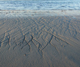 Sandy Neck beach