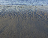 Sandy Neck beach