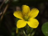 RIMG0425.jpg