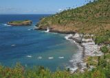 Amed coast