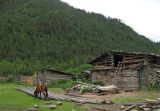 Farmyard
