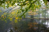 Autumn pond