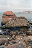 Rocks ay low tide