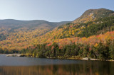 Beaver pond