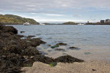 Low tide