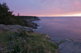 First light over Whitehead