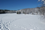 Winter tracks