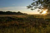 First light on the flats