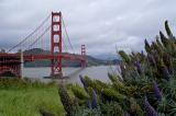 Golden Gate bridge