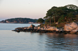 Morning light on the shore