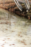 Blackstone canal with ice