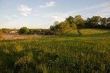 Spring meadows