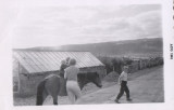Erla lafsdttir, mursystir, astoar brnin vi Hverahl um 1960